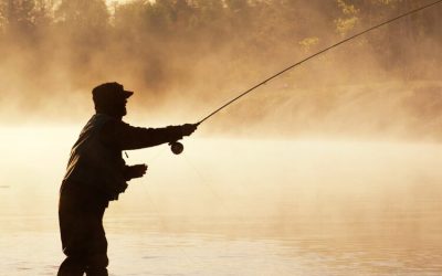 Signs of a Broken Thumb: Fracture Causes, Symptoms, and Treatment