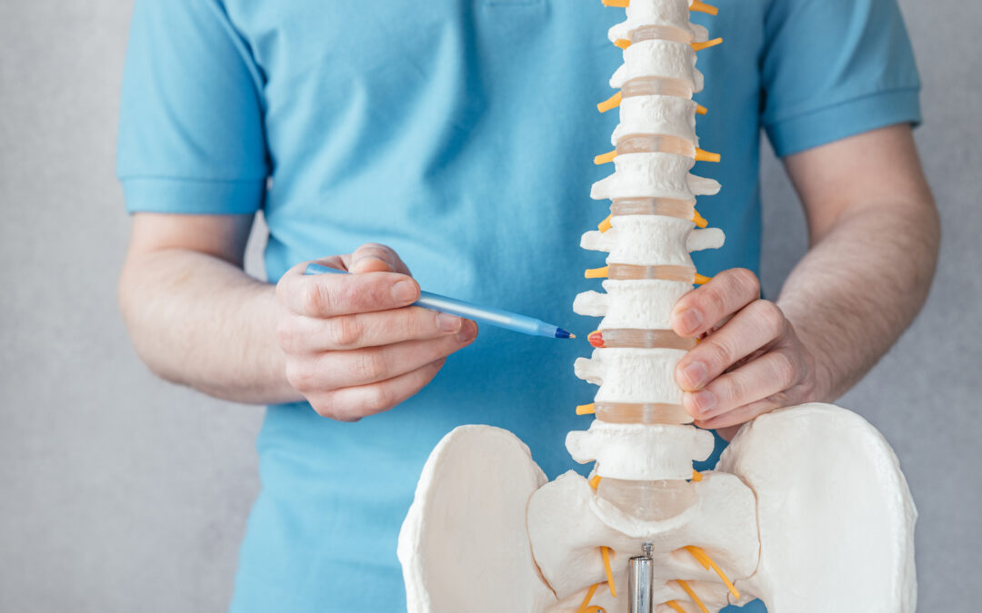 Disc Replacements Can Relieve Back Pain